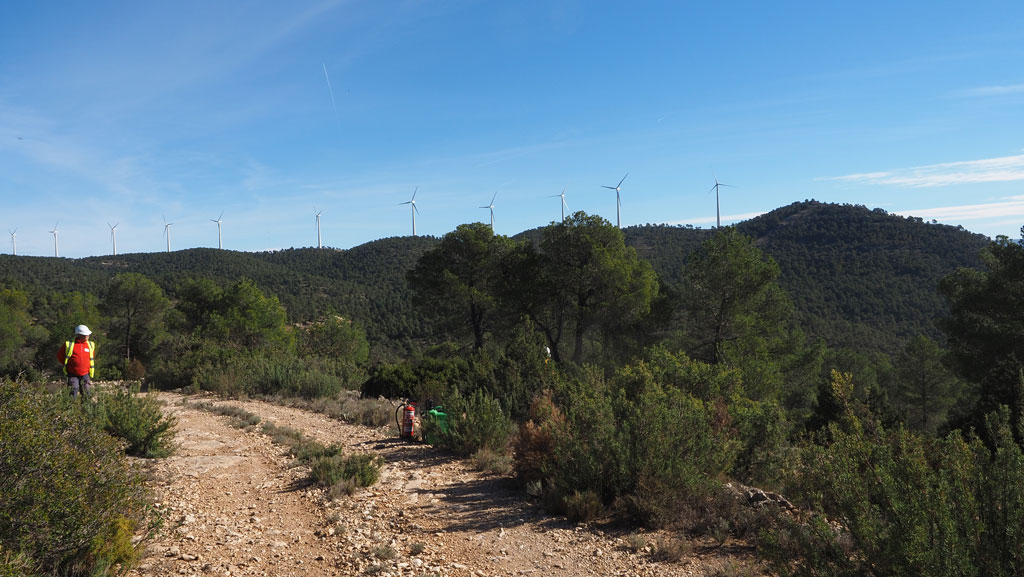 molinos en Boira