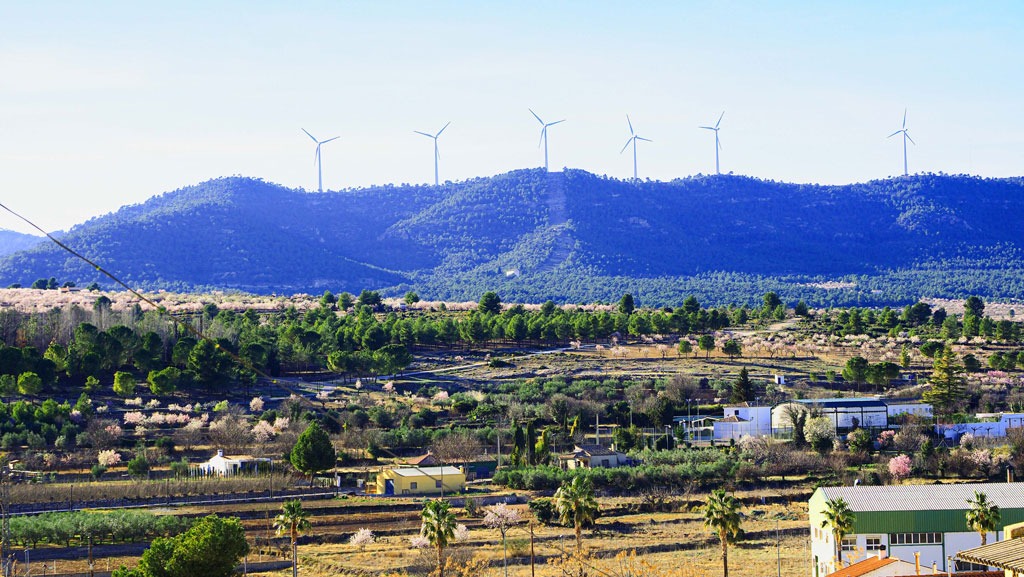 molinos boira almendros