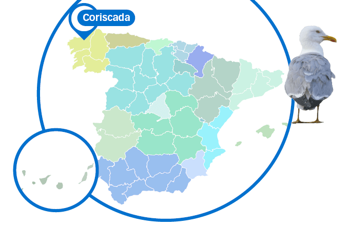 Mapa Coriscada