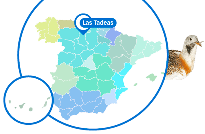 mapa las tadeas