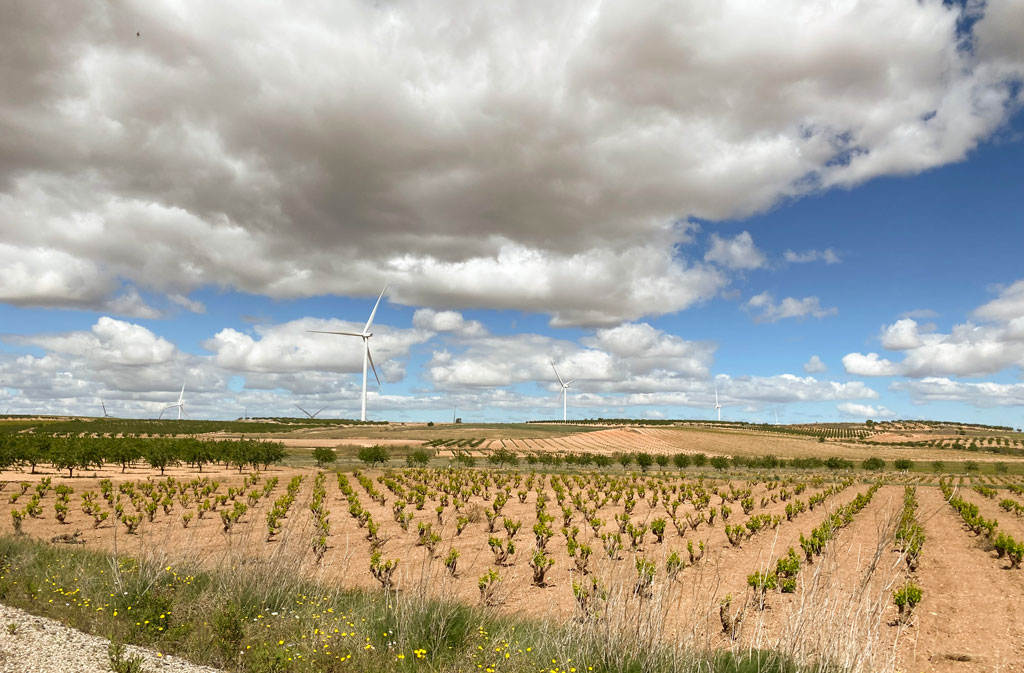 campo borja