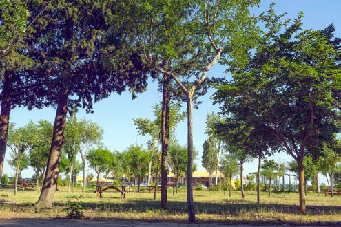 Piscina de Tordesillas