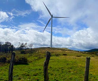 molinos pradera