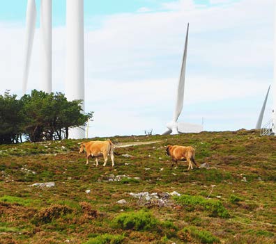 molinos y ganaderia la bobia